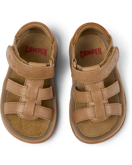 Camper Brown Bicho