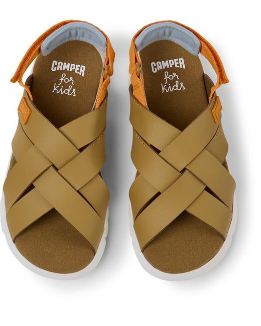 Camper Brown Oruga