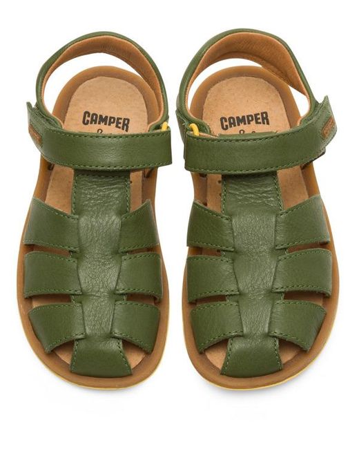 Camper Green Bicho