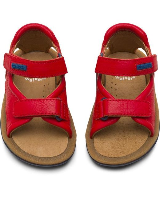 Camper Brown Bicho