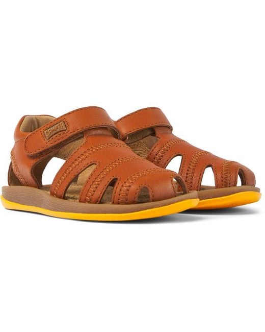 Camper Brown Bicho