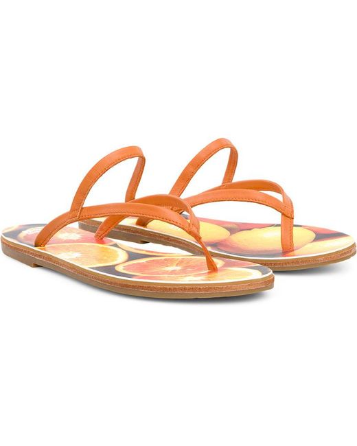 Camper Orange Twins