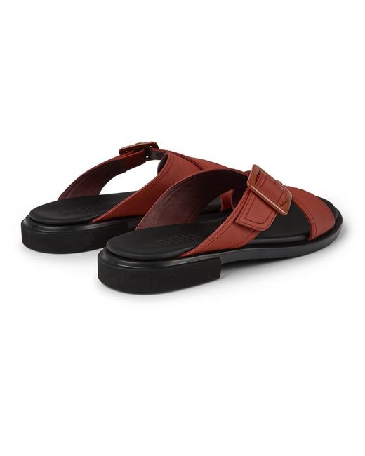 Camper Brown Edy