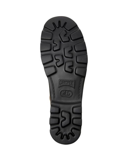 Camper Brown Brutus