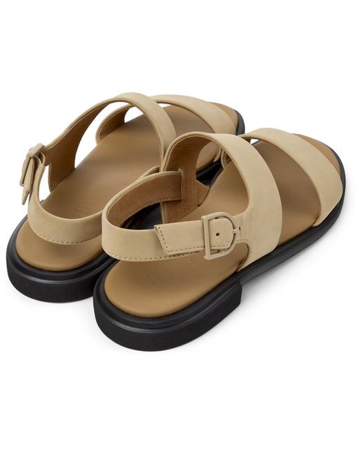 Camper Brown Edy
