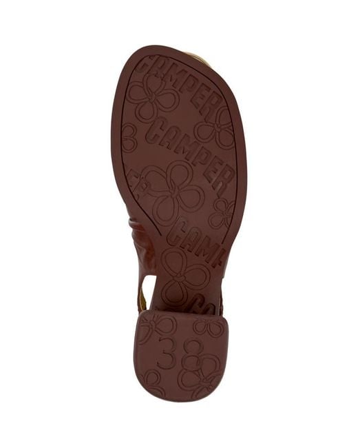 Camper Brown Kora