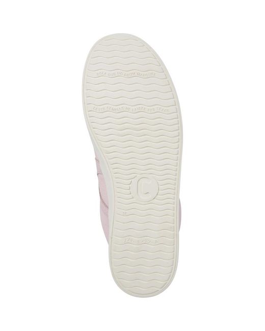 Camper Pink Imar