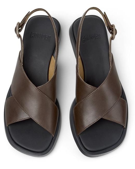Camper Brown Dana