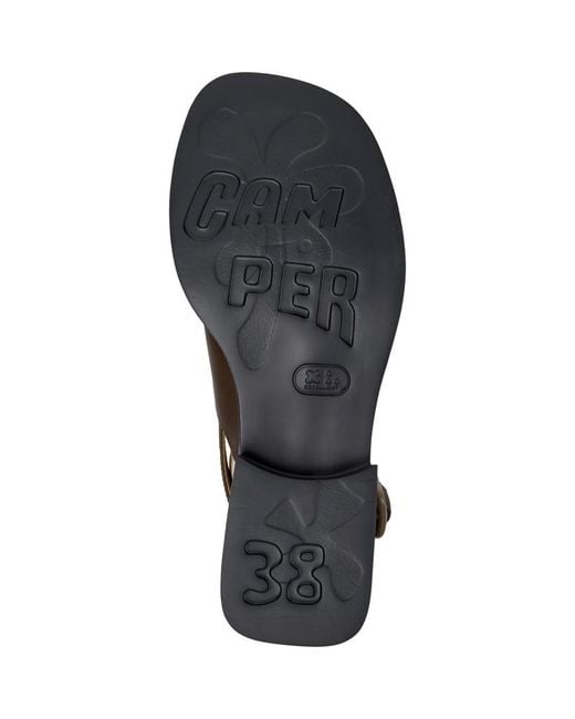 Camper Brown Dana