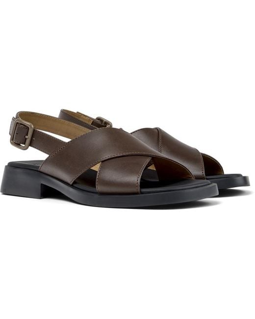 Camper Brown Dana