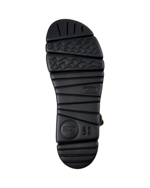 Camper Brown Oruga