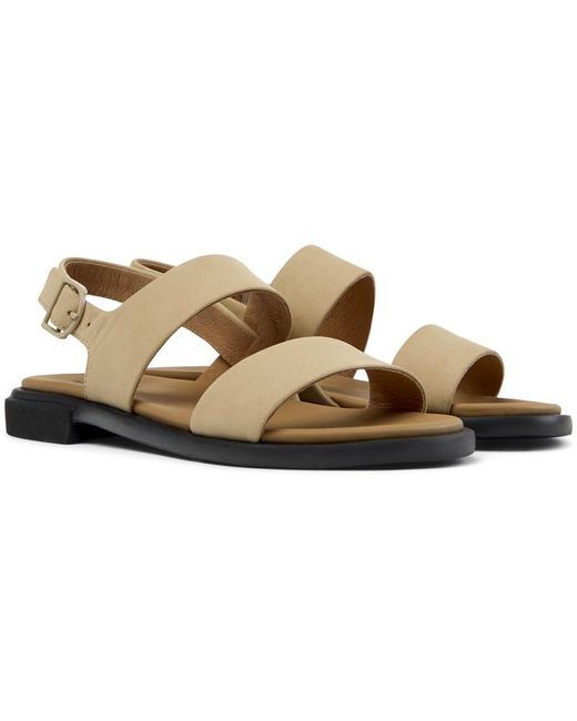 Camper Brown Edy