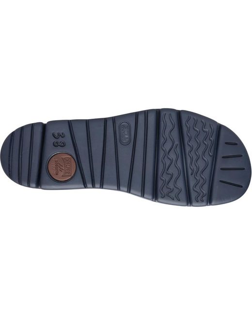 Camper Blue Oruga