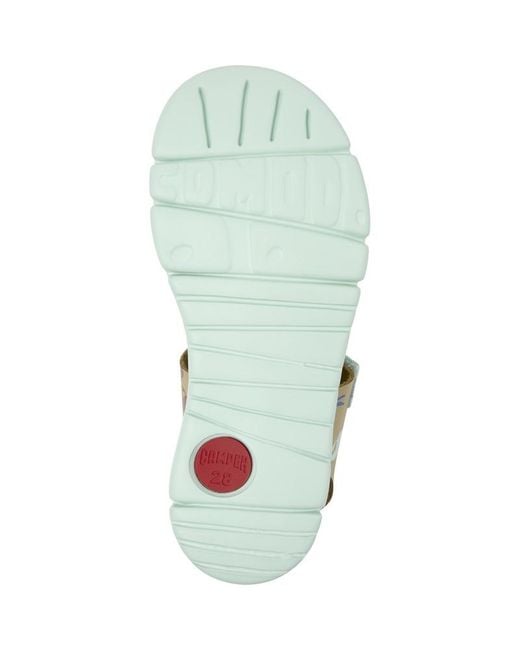 Camper Blue Oruga