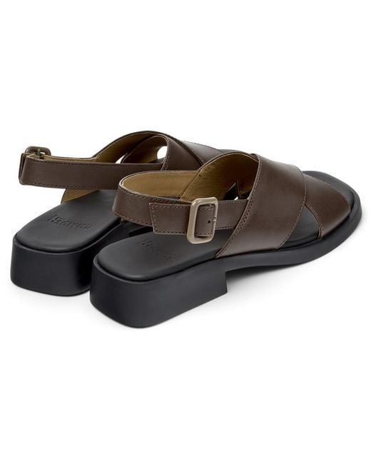 Camper Brown Dana
