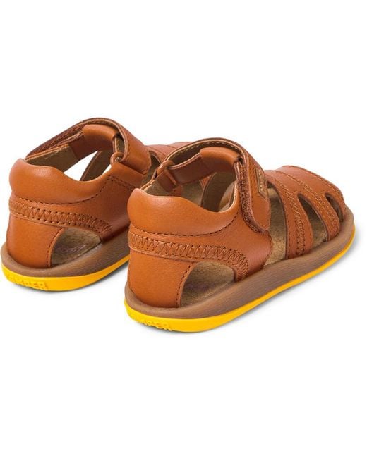 Camper Brown Bicho