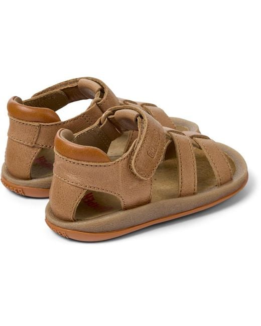 Camper Brown Bicho