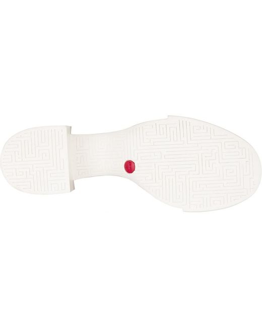 Camper Blue Lotta