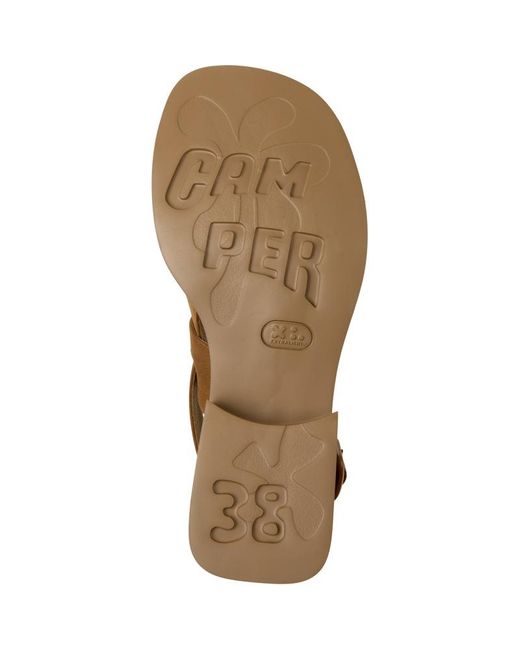 Camper Brown Dana