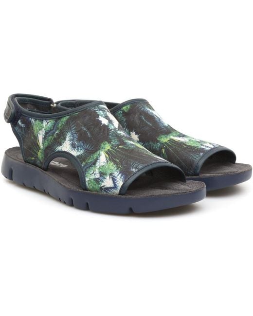 Camper Blue Oruga