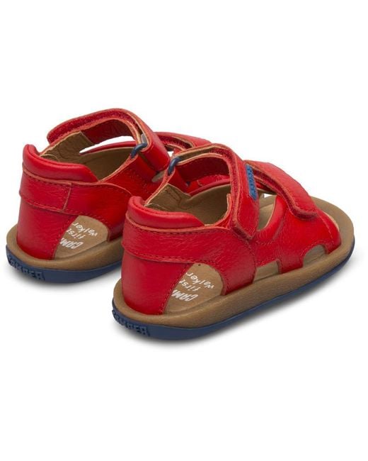 Camper Brown Bicho