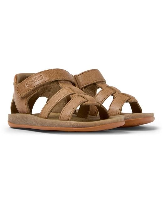 Camper Brown Bicho