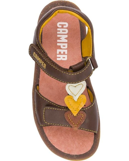Camper Brown Bicho