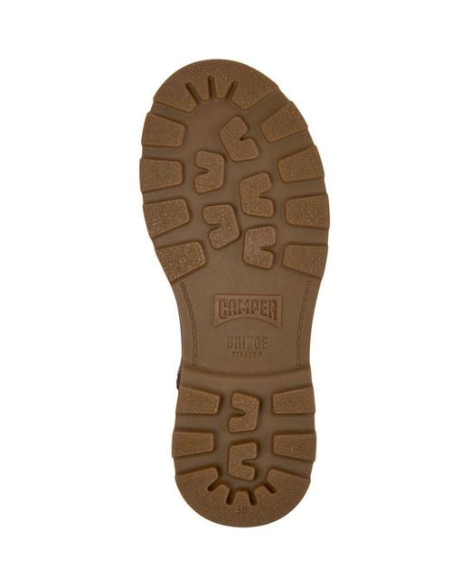 Camper Brown Brutus