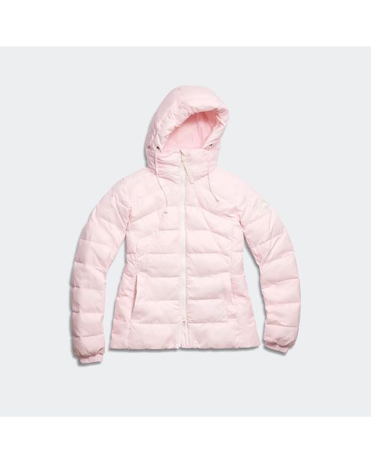 Canada Goose Pink Abbott Hoodie Disc