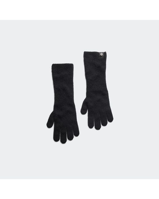 Canada Goose Black Killarney Short for men