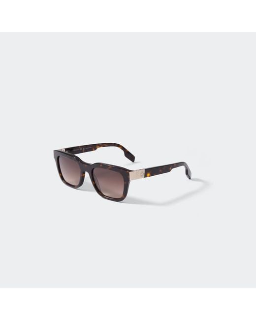 Canada Goose Metallic Denali Sunglasses for men