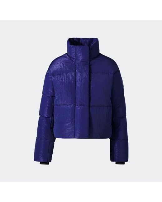 Canada Goose Blue Cypress Cropped Puffer City Lights (, , )