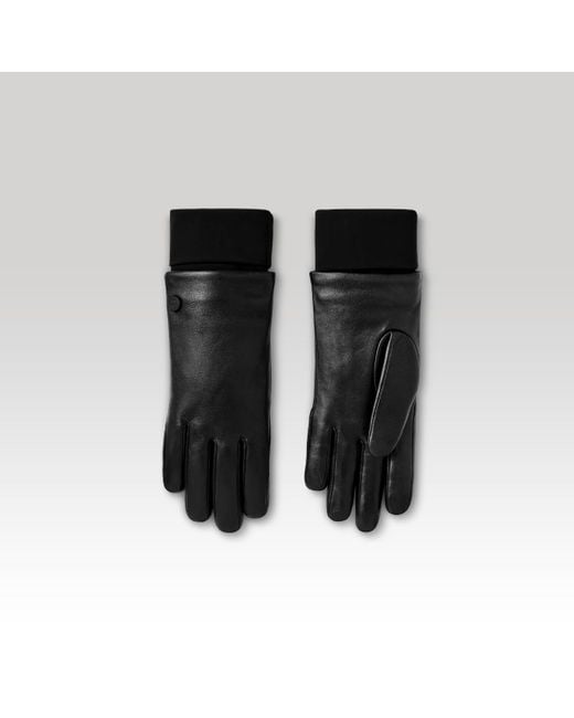 Canada Goose Black Leather Glove