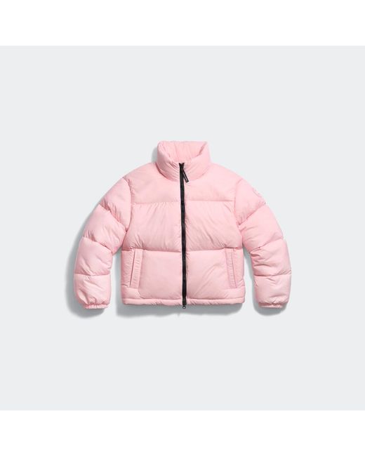 Canada Goose Pink Fallon Puffer Jacket Tonal Disc