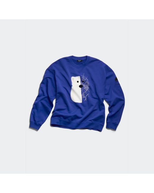 Canada Goose Blue Dawn Pbi Relaxed Crew for men