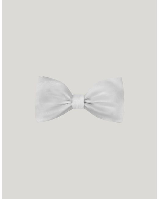Canali Gray Silk Bow Tie for men