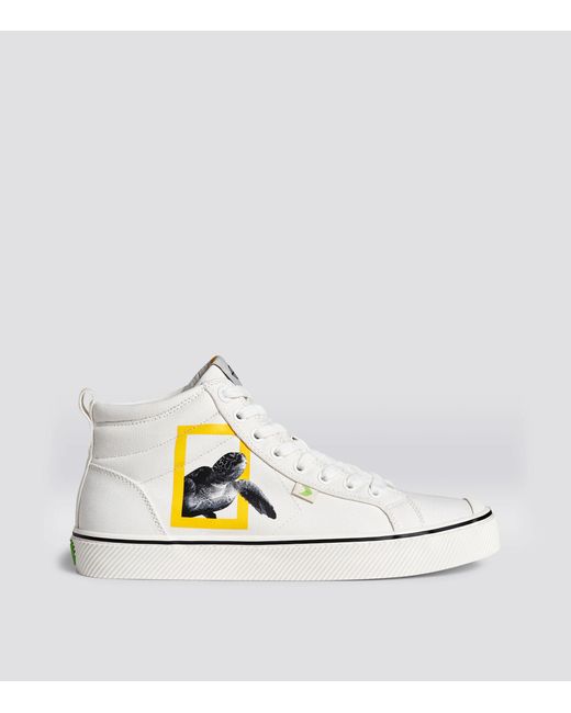 cariuma white canvas