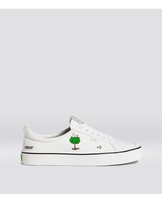 cariuma white canvas