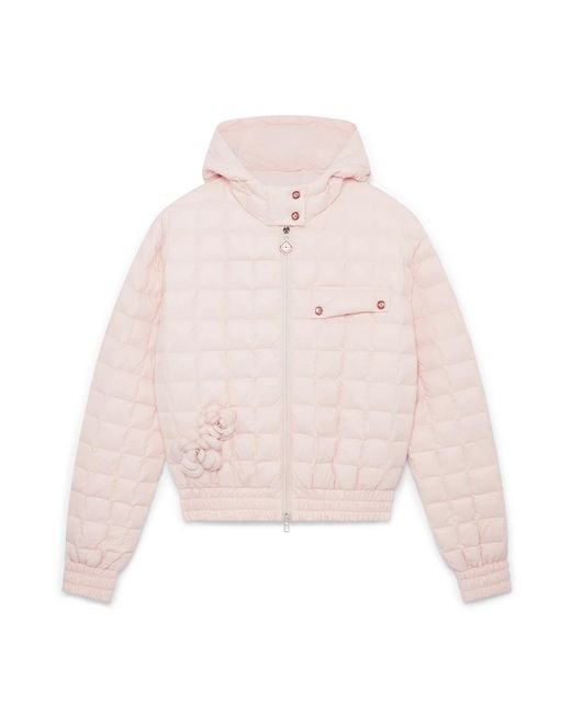 Casablanca Paris Pink Veste À Capuche En Nylon Matelassé