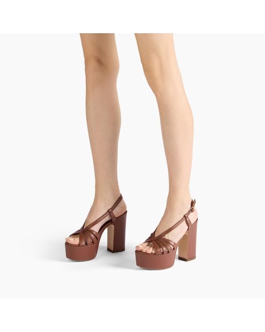 Casadei Brown Elsa Platform