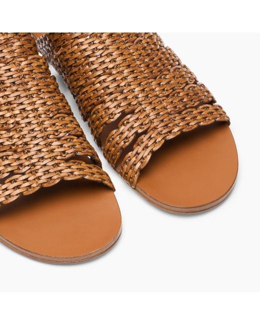 Casadei Brown Avenida Flat Sandal