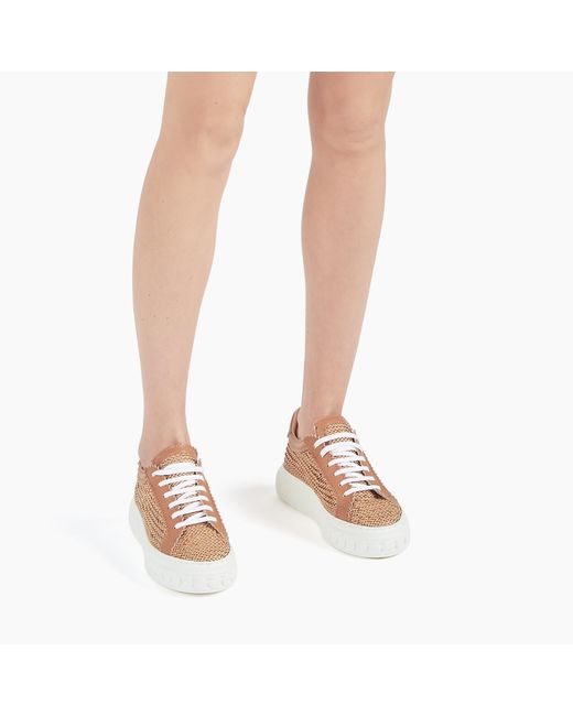 Casadei Multicolor Sneakers Hanoi