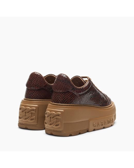 Casadei Brown Nexus Basilisco Sneaker
