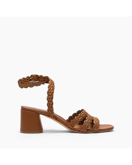 Casadei Brown Cleo Avenida Sandal