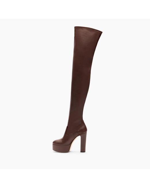 Patty Over The Knee di Casadei in Brown