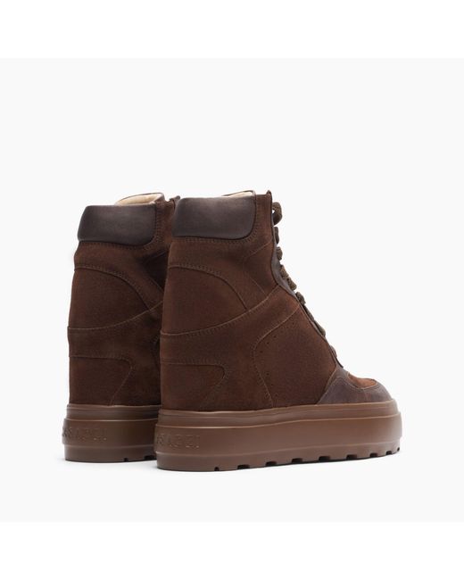Casadei Brown High Top Sneaker