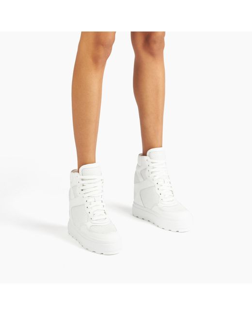 High Top Net & Leather Sneakers di Casadei in White