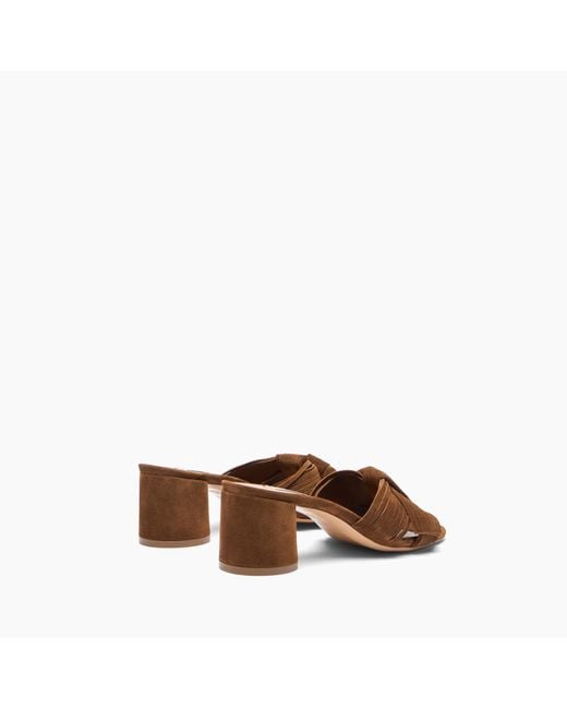 Casadei Brown Cleo Xanadou Mule