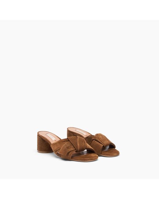 Casadei Brown Cleo Xanadou Mule