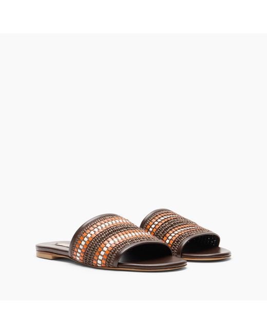 Casadei Brown Amalfi Slide Sandal